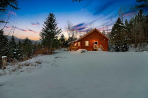Modern Log Cabin with Skiing & Work-Friendly Setup home